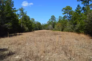 646 Millard Gainey Rd, Defuniak Springs, FL 32435 - Photo 35