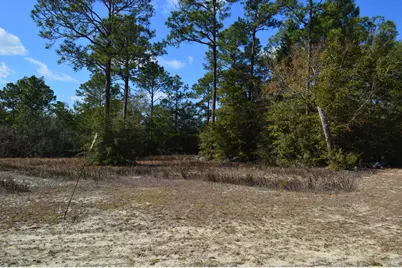 646 Millard Gainey Road, Defuniak Springs, FL 32435 - Photo 29