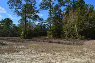 646 Millard Gainey Rd, Defuniak Springs, FL 32435 - Photo 29