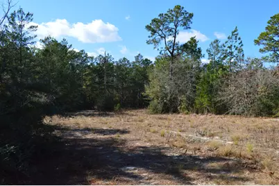 646 Millard Gainey Road, Defuniak Springs, FL 32435 - Photo 31