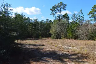 646 Millard Gainey Rd, Defuniak Springs, FL 32435 - Photo 31