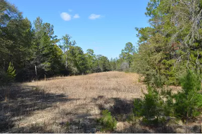 646 Millard Gainey Road, Defuniak Springs, FL 32435 - Photo 33