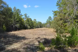 646 Millard Gainey Rd, Defuniak Springs, FL 32435 - Photo 33