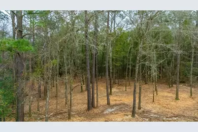 Xx State Highway 85, Laurel Hill, FL 32567 - Photo 9