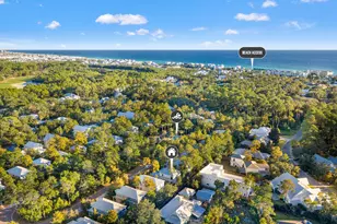 657 Patina Blvd, Seacrest, FL 32461 - Photo 57