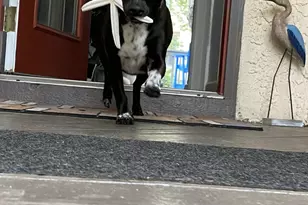 90 Marina Cove Dr, Niceville, FL 32578 - Photo 19