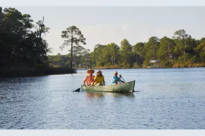 280 Green Heron Street #Lot 28, Watersound, FL 32461 - Photo 37