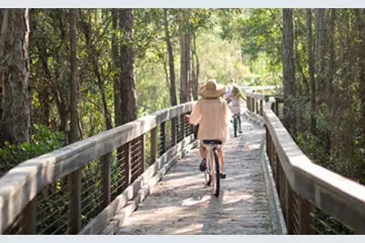 Tbd Schuyler Court, Inlet Beach, FL 32461 - Photo 11