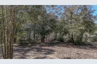 505 Martin Road, Defuniak Springs, FL 32433 - Photo 7