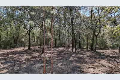 505 Martin Road, Defuniak Springs, FL 32433 - Photo 5