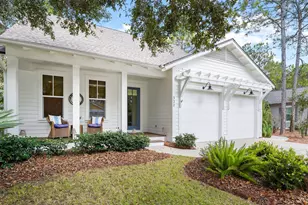 322 Jack Knife Drive, Inlet Beach, FL 32461 - Photo 51