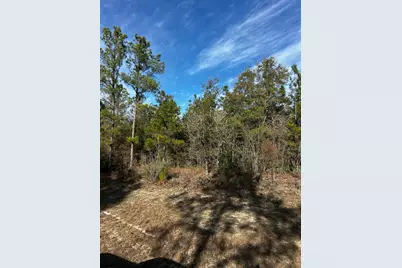 Tbd Valiant Drive, Chipley, FL 32428 - Photo 1