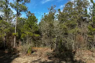 Tbd Valiant Dr, Chipley, FL 32428 - Photo 1