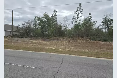 Tbd Elkcam Boulevard, Chipley, FL 32428 - Photo 3