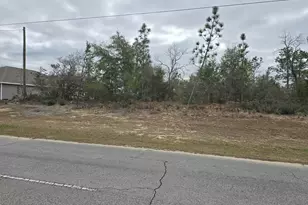 Tbd Elkcam Blvd, Chipley, FL 32428 - Photo 3