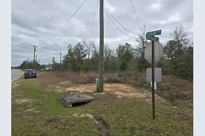 Tbd Elkcam Boulevard, Chipley, FL 32428 - Photo 5