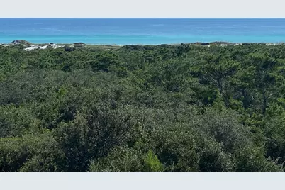 255 Cypress Drive, Santa Rosa Beach, FL 32459 - Photo 3
