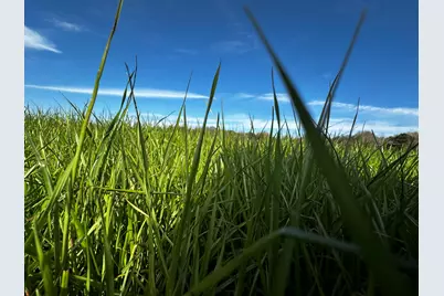 A & B Charlie Day Road, Baker, FL 32531 - Photo 5