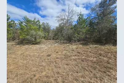 Tbd Cranston Court, Chipley, FL 32428 - Photo 1