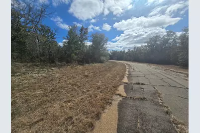 Tbd Cranston Court, Chipley, FL 32428 - Photo 3