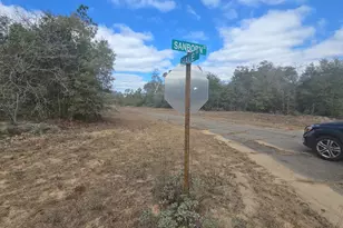 Tbd Hale Ave, Chipley, FL 32428 - Photo 5