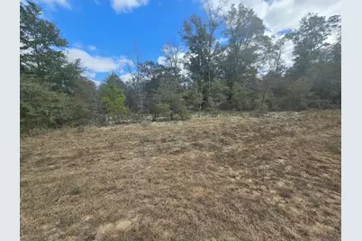 Tbd Hale Avenue, Chipley, FL 32428 - Photo 3