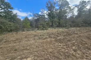 Tbd Hale Ave, Chipley, FL 32428 - Photo 3