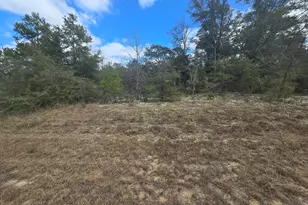 Tbd Hale Ave, Chipley, FL 32428 - Photo 1