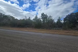 Tbd Hampshire Blvd, Chipley, FL 32428 - Photo 3