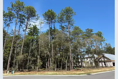 320 Gazelle Court, Niceville, FL 32578 - Photo 1