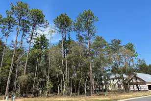 320 Gazelle Ct, Niceville, FL 32578 - Photo 1