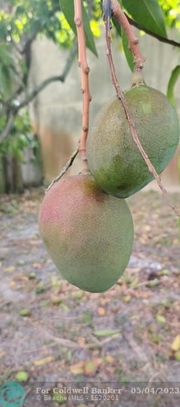 1605 Tropical Dr, Lake Worth FL  33460-5349 exterior