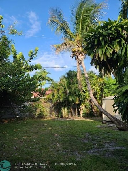 1123 17th Ave, Hollywood FL 33020-3611 exterior