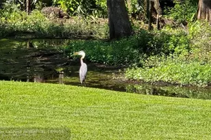 310 Woodland Dr, Jacksonville, NC 28540 - Photo 9