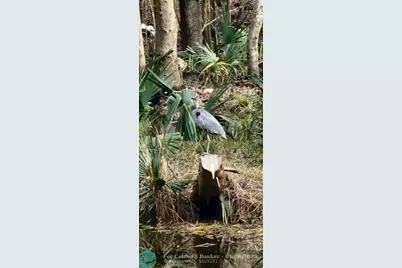 310  Woodland Drive, Jacksonville, NC 28540 - Photo 11