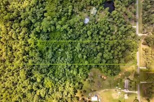 40200 Emeralda Island Rd, Leesburg, FL 34788 - Photo 5