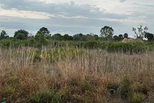 17128 NW 314th St, Okeechobee, FL 34972 - Photo 5