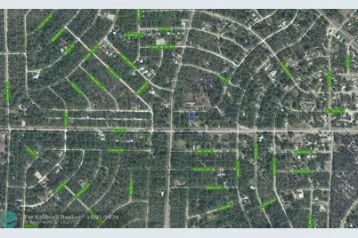 805  Gardenia St, Lake Placid, FL 33852 - Photo 3