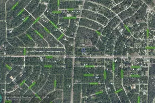 805 Gardenia St, Lake Placid, FL 33852 - Photo 3