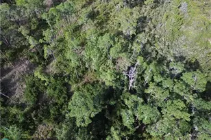 3029 Hawks Lndg Cir, Sebring, FL 33875 - Photo 15