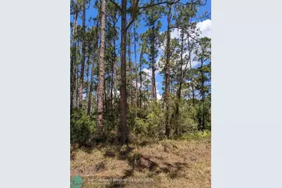 430  Apple Blossom Ave, Lake Placid, FL 33852 - Photo 3