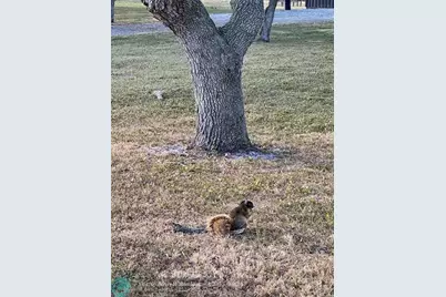 14151 E Center St, Okeechobee, FL 34974 - Photo 37