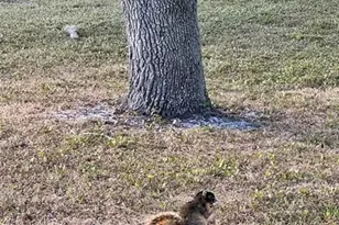 14151 E Center St, Okeechobee, FL 34974 - Photo 37