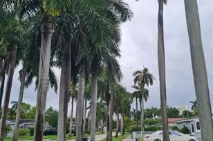 906 NE 3 St, Hallandale Beach, FL 33009 - Photo 29