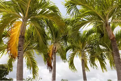 7855 NW 5th Ct, Unit #201, Margate, FL 33063 - Photo 57