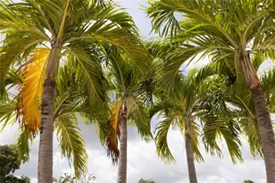 7855 NW 5th Ct, Margate, FL 33063 - Photo 57