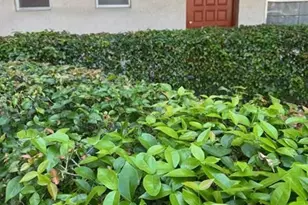 3774 Inverrary Blvd, Lauderhill, FL 33319 - Photo 3