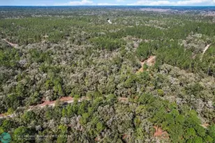 987 E Odin Dr, Dunnellon, FL 34434 - Photo 11