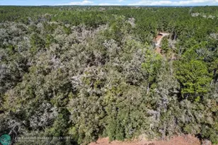 987 E Odin Dr, Dunnellon, FL 34434 - Photo 13