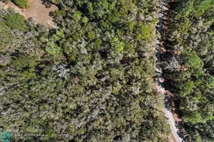 987 E Odin Dr, Dunnellon, FL 34434 - Photo 9